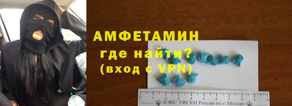 индика Алексин