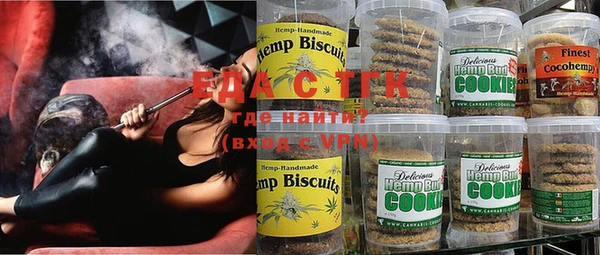 индика Алзамай