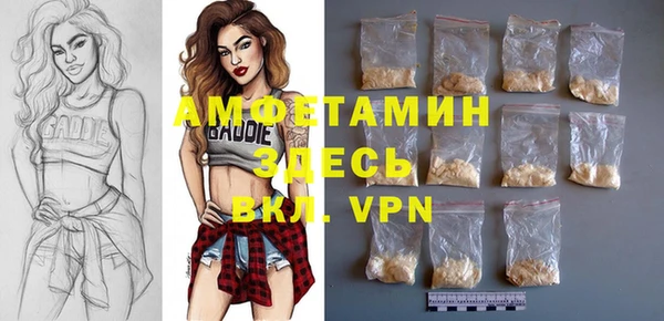 индика Алексин