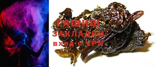 индика Алзамай